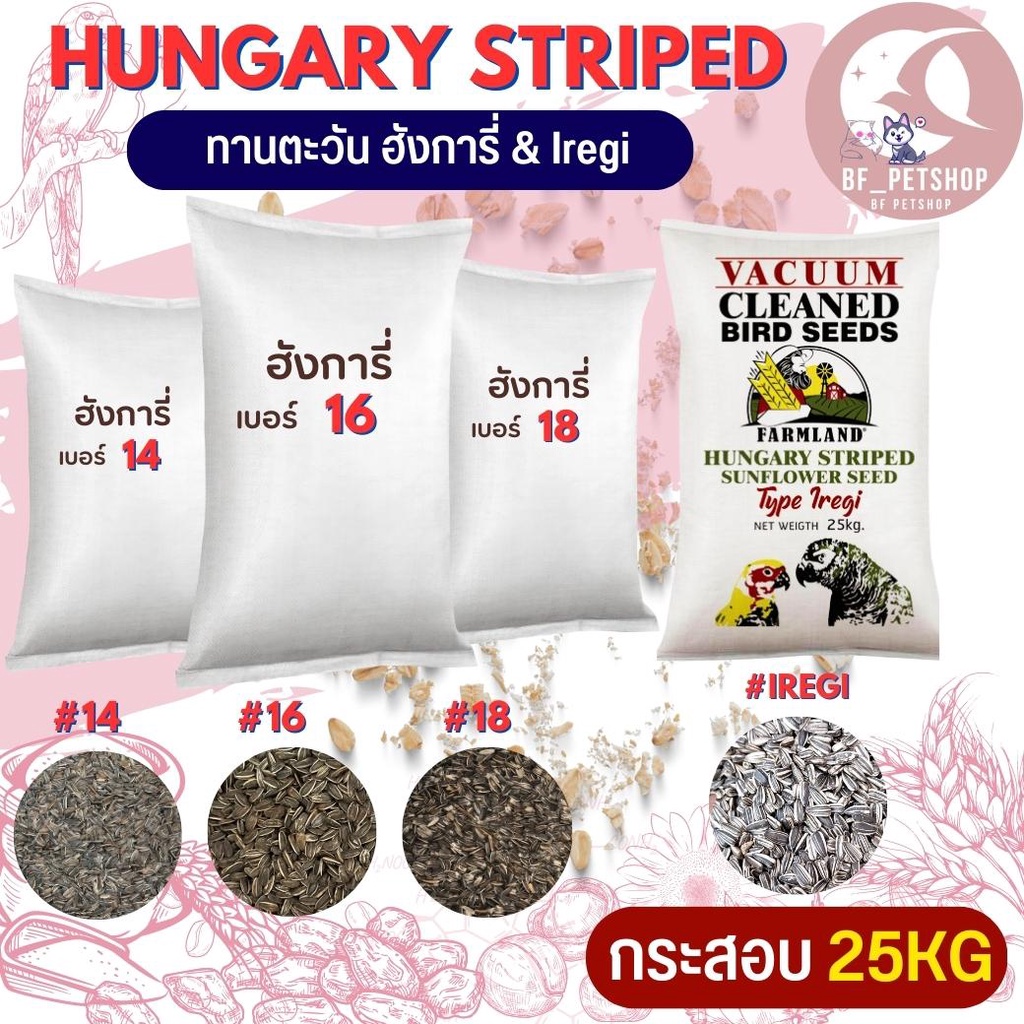 hungary-ทานตะวัน-ฮังการี่นอก-สินค้าสะอาด-สดใหม่-14-16-18-iregi-กระสอบ-25kg