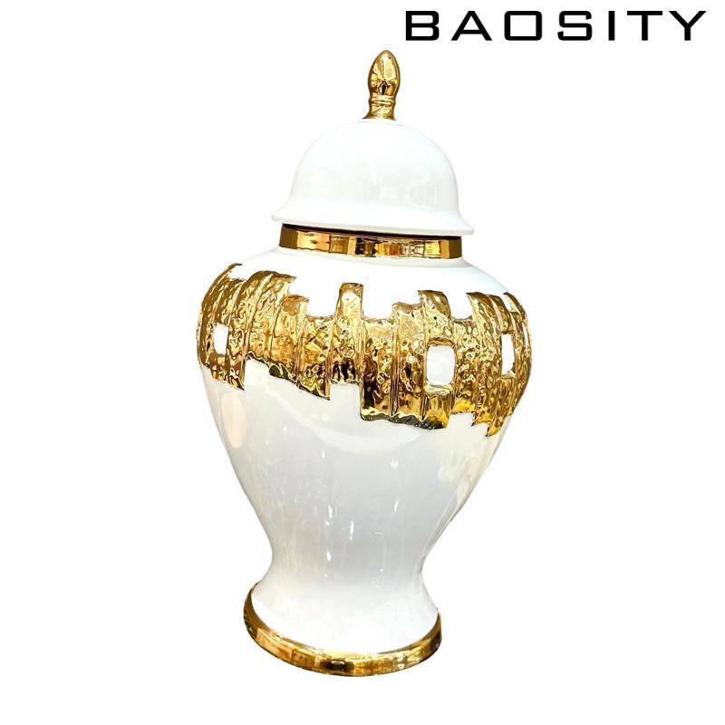 baosity-ขวดโหลเซรามิค-ลายกระเบื้อง-สําหรับใส่ขิง-ตกแต่งห้องนั่งเล่น