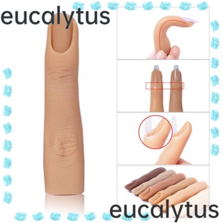 Eucalytus1 เล็บปลอม 8 ซม. 6 สี สําหรับฝึกทําเล็บ DIY 1 ชิ้น