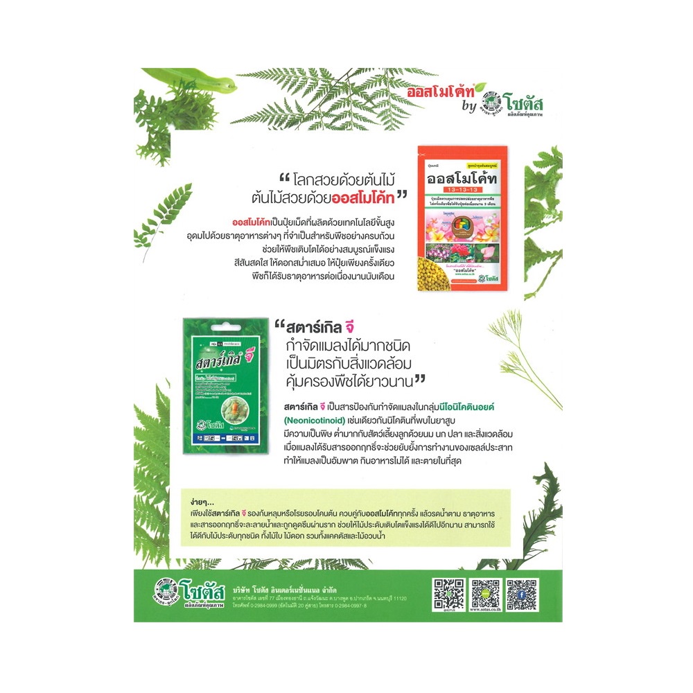 b2s-หนังสือ-เฟิน-all-about-ferns-รวมชนิดและพันธุ์ปลูกสำหรับคนรักเฟิน