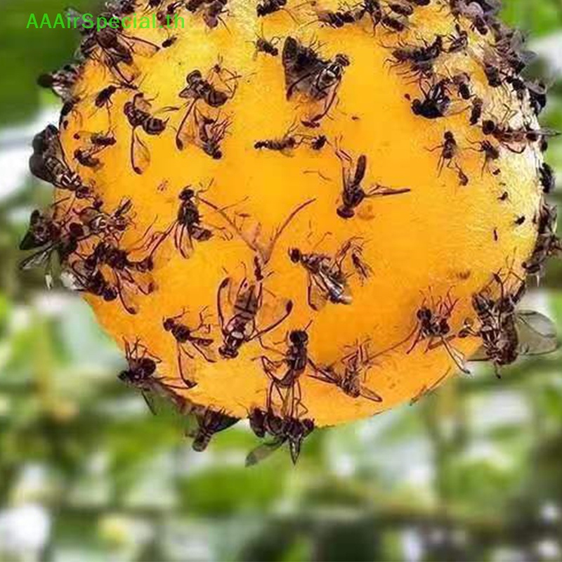 aaairspecial-เครื่องดักจับแมลงวัน-ผลไม้-แบบแขวน-สําหรับกลางแจ้ง-th