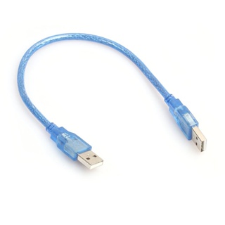 30CM Transparent Blue USB 2.0 Extension Cable Male To Cord