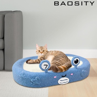 [Baosity] แผ่นข่วนเล็บแมว สําหรับแมว