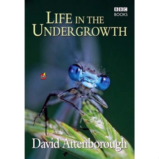 DVD ดีวีดี BBC Life In The Undergrowth (2005) โลกมหัศจรรย์ของแมลง (เสียง ไทย/อังกฤษ | ซับ ไทย/อังกฤษ) DVD ดีวีดี