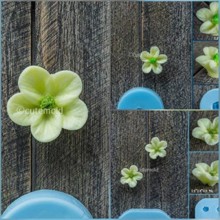 แม่พิมพ์ซิลิโคน แม่พิมพ์ฟองดอง ดอกไม้ บานเช้าใหญ่ V41-43 (เลือกแบบ)