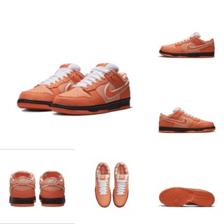 Concepts x Dunk SB Low "Orange Lobster" FD8776-800