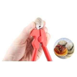 ส่งด่วน คีมแกะหอยแครง ขายดีสุดๆ Cockle Peeler &amp; Bottle Opener