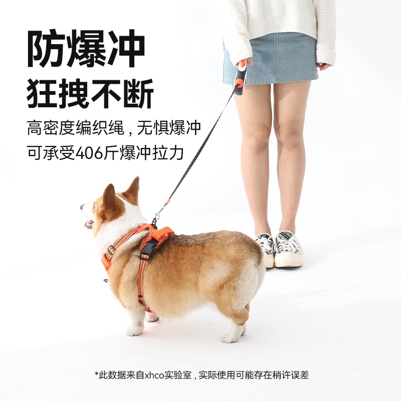 x-xcho-สายจูงสุนัข-อัตโนมัติ-พับเก็บได้-ขนาดใหญ่-สายจูงลูกสุนัข-สายจูงสุนัข-ขนาดเล็ก-เดินได้-อิทธิพล