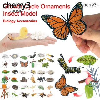 Cherry3 ชุดโมเดลสัตว์ แมลง ชีววิทยา ขนาดเล็ก ของเล่นเสริมการศึกษา สําหรับเด็ก