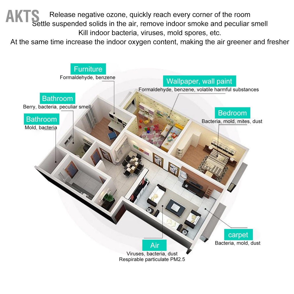 akts-เครื่องผลิตโอโซน-แผ่นเซรามิก-อากาศบริสุทธิ์-ทำความสะอาด-เครื่องผลิตโอโซนอุตสาหกรรม-5g