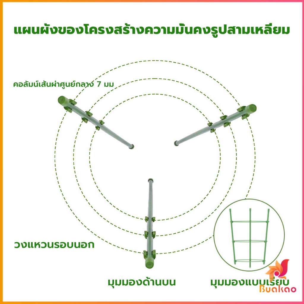 buakao-โครงเถาวัลย์-เสามะเขือเทศ-โครงปลูก-อุปกรณ์สำหรับพืชไม้เลื้อย-45cm-60cm-plant-trellis