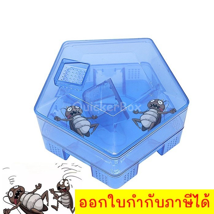 กล่องบ้านดักแมลงสาบ-จิ้งจก-แบบ2ชั้น-4ทิศทาง-cockroach-villa-trap-ส่งฟรีทั่วประเทศ