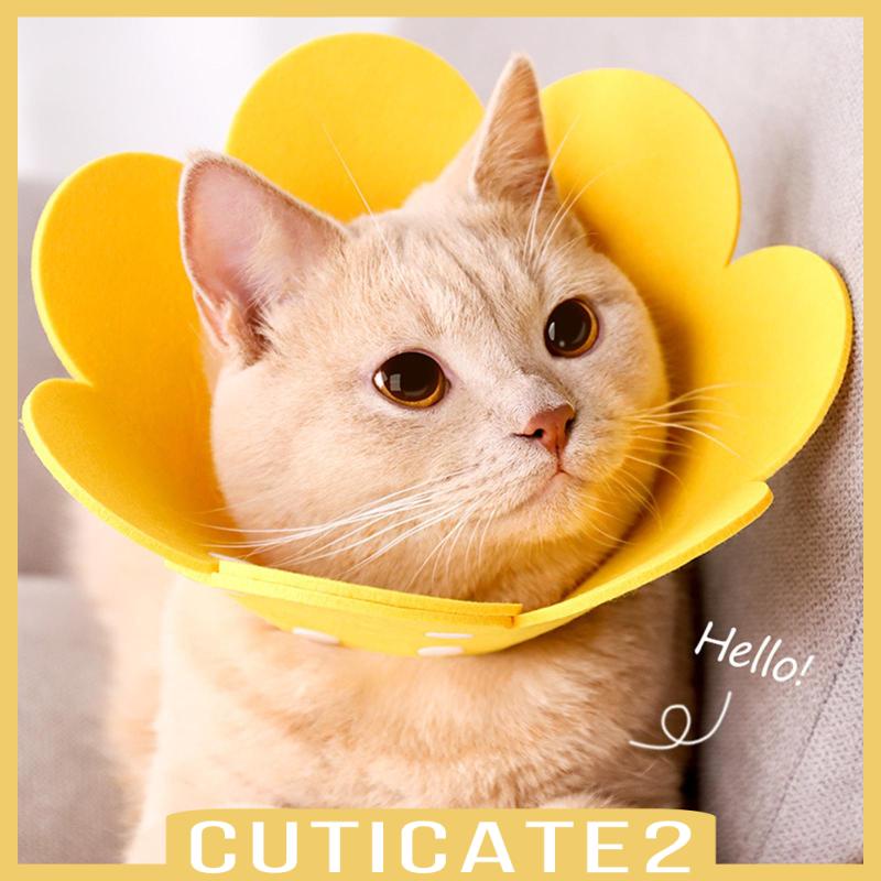 cuticate2-ปลอกคอกรวย-สําหรับสัตว์เลี้ยง-แมว