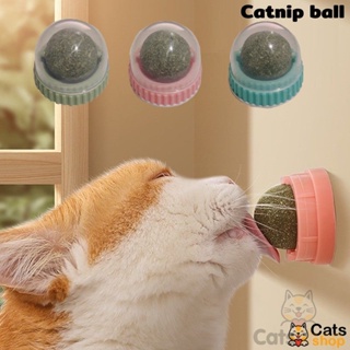 แคทนิปบอล แมว กุญชาแมว หญ้าแมว แคทนิป ขนมแมวเลีย หญ้าแมวบอลสมุนไพร แคปนิท Hartley Grass Ball Catnip Ball