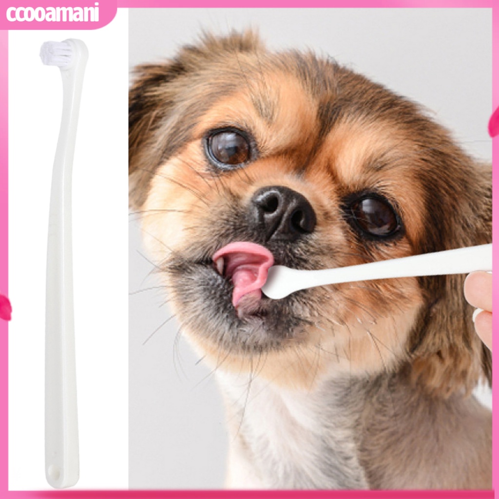ccooamani-แปรงสีฟันสัตว์เลี้ยง-ด้ามจับยาว-กันลื่น-หมุนได้-360-องศา-สําหรับลูกแมว