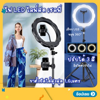 ไฟไลฟ์สด ปรับได้ 3 สีไฟวงแหวนLED ไฟแต่งหน้า ไฟขนาด26CM ขาตั้ง1.6เมตร ไฟสตูดิโอ ขาตั้งกล้อง ตั้งมือถือได้ พร้อมส่ง