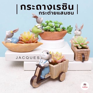 กระถางเรซิน กระต่ายแสนซน ไม้อวบน้ำ กุหลาบหิน cactus&amp;succulent หลากหลายสายพันธ์