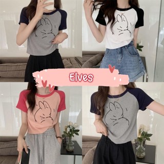 Elves✨พร้อมส่ง✨ เสื้อไหมพรมลายกระต่าย คอกลมแขนสั้น แขนทูโทน ~58067-1~ -C