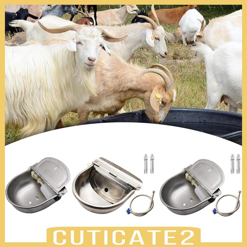 cuticate2-ถ้วยน้ําดื่มอัตโนมัติ-สําหรับแมว-หมู-วัว