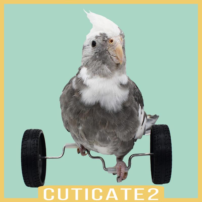 cuticate2-ของเล่นโรลเลอร์สเก็ต-ขนาดเล็ก-เพื่อการเรียนรู้-สําหรับนกแก้ว