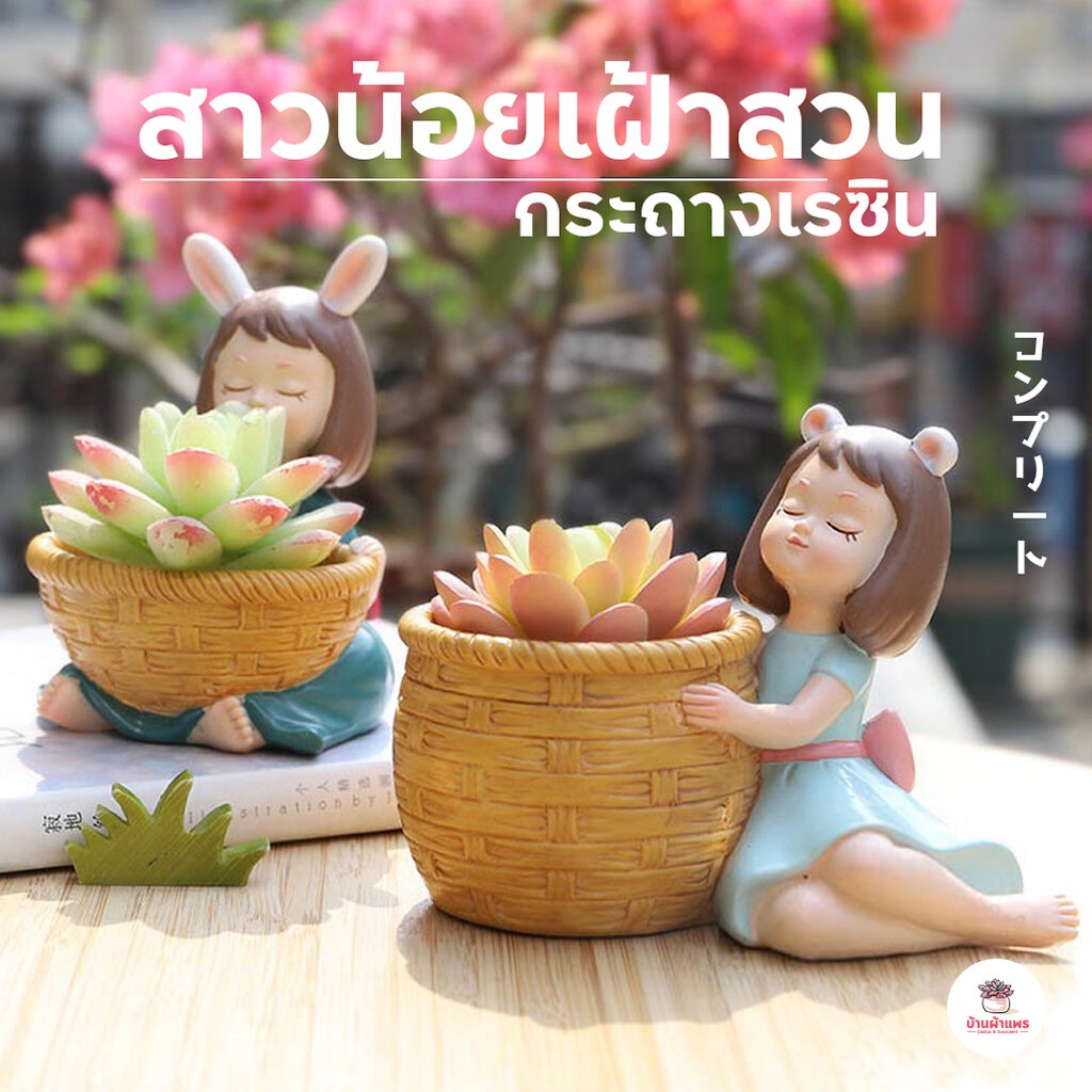 กระถางเรซิน-สาวน้อยเฝ้าสวน-ไม้อวบน้ำ-กุหลาบหิน-cactus-amp-succulent-หลากหลายสายพันธ์