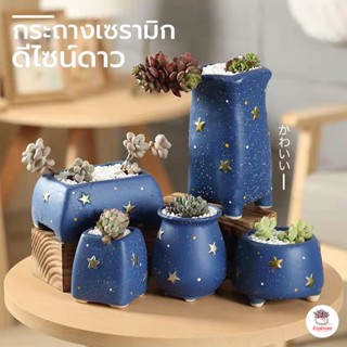 กระถางดาว กระถางเซรามิค กระถางดินเผาเคลือบสี กระถางกระบองเพชร กระถางไม้อวบน้ำ