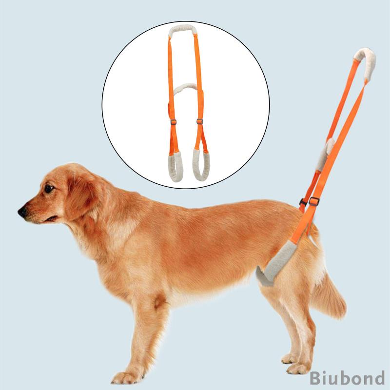 biubond-สายรัดยกสุนัข-แบบพกพา-ปรับได้-ระบายอากาศ-เป็นประโยชน์-รองรับสะโพก-เคลื่อนไหวได้-ข้อต่อผู้พิการ-สุนัขโต
