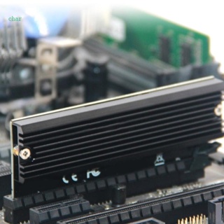 Char การ์ดอินเตอร์เฟซ M-Key รองรับ PCI-Express 3 0 4X 8X 16X สําหรับ PC