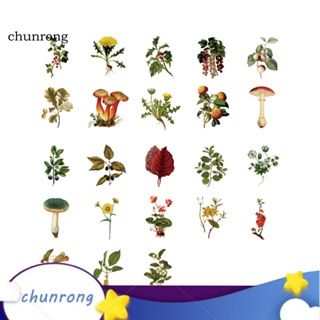 Chunrong สติกเกอร์ มีกาวในตัว แฮนด์เมด สําหรับตกแต่งสมุดไดอารี่ อัลบั้ม DIY 46 ชิ้น