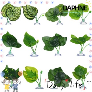 Daphne เปลตกแต่งตู้ปลา เปลญวนพืชน้ํา