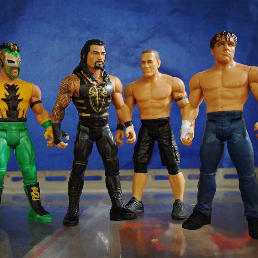 ของแท้ ฟิกเกอร์ JAKKS Wrestler Action Figure American Wrestling Seine