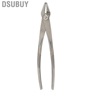 Dsubuy Garden Pruning Shears Horticultural Professional Stainless