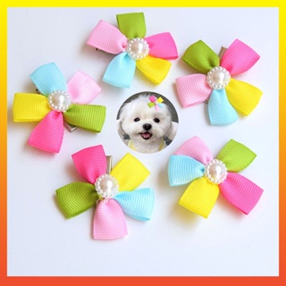 [Calamus] กิ๊บติดผม รูปกลีบดอกไม้ ประดับไข่มุก สีสันสดใส สําหรับสัตว์เลี้ยง สุนัข แมว