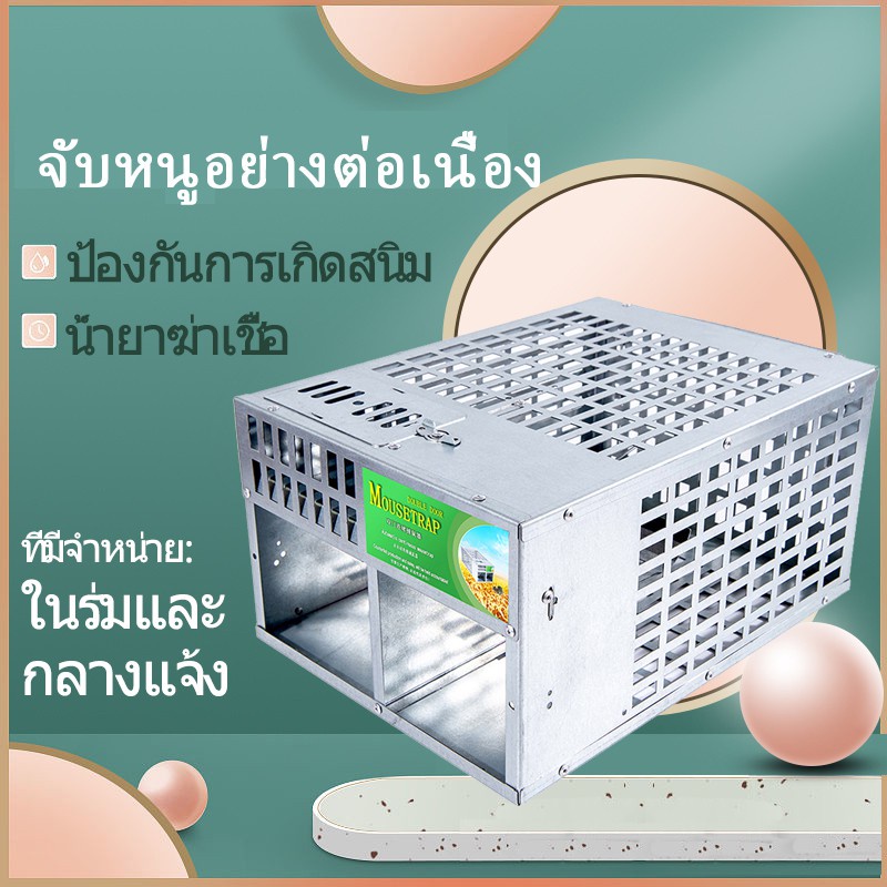 ราคาถูก-2023-ใหม่-กรงหนูกับดักหนูแบบต่อเนื่องที่ขายดีที่สุด-แข็งแรง-ทนทาน-มีประสิทธิภาพและละเอียดอ่อน-กับดักหนู