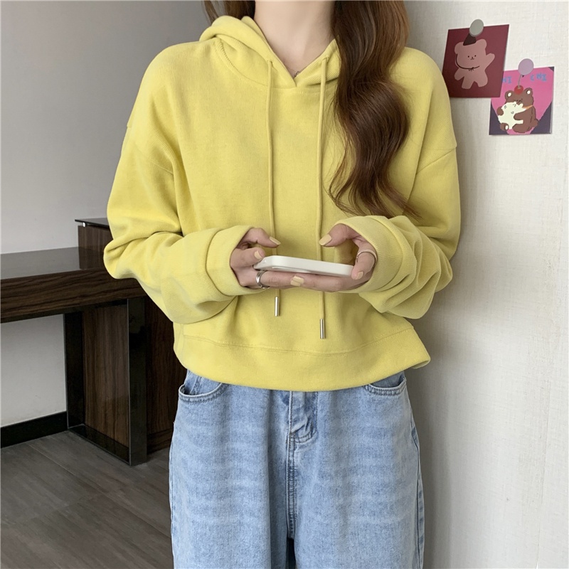 เสื้อแจ็กเก็ตกันหนาวแขนยาว-มีฮู้ด-ผ้าฟลีซ-ทรงหลวม-ขนาดเล็ก-250-กรัม-แฟชั่นฤดูใบไม้ผลิ-และฤดูใบไม้ร่วง-สําหรับผู้หญิง