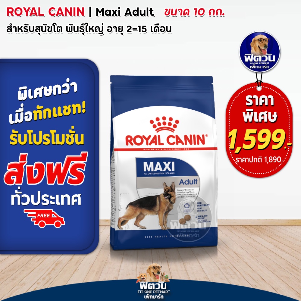 royal-canin-maxi-adult-สุนัขพันธ์ใหญ่-ขนาด-10-กก