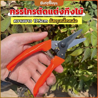 B.B. กรรไกรแต่งกิ่งไม้ เหล็กคาร์บอน สำหรับใช้ในสวน ด้ามกระชับมือ garden shears