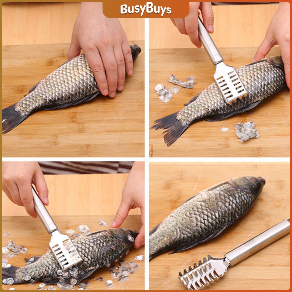 b-b-ที่ขูดเกล็ดปลา-ที่ขอดเกล็ด-สแตนเลส-เครื่องใช้ในครัว-fish-scale-scraper