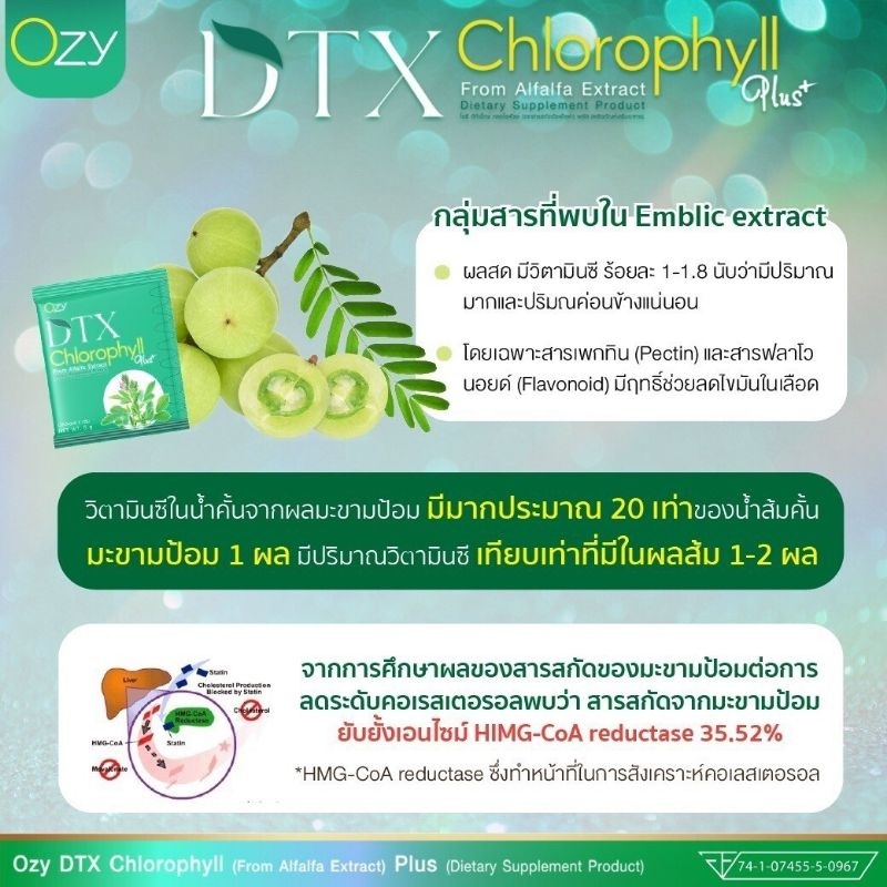 ozy-dtx-คลอโรฟิลล์-พี่หนิง-ปณิตา-detox-ตับ-ช่วยล้างสารพิษที่ตับ-นิ่วในถุงน้ำดี-ช่วยให้ผิวมีสุขภาพดี-ร้าน-bebby-zz