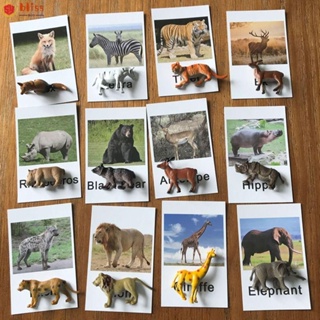 Blliss โปสการ์ดกระดาษเรซิ่น รูปสัตว์ หลากสี ของเล่นเสริมการเรียนรู้ สําหรับเด็กก่อนวัยเรียน