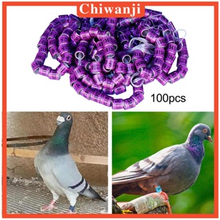 [Chiwanji] ห่วงขานกพิราบ อะลูมิเนียม น้ําหนักเบา แบบพกพา 8 มม. 100 ชิ้น สําหรับนกกระทา เป็ด บันตัม นกเลิฟเบิร์ด สัตว์ปีก ขนาดเล็ก 2024