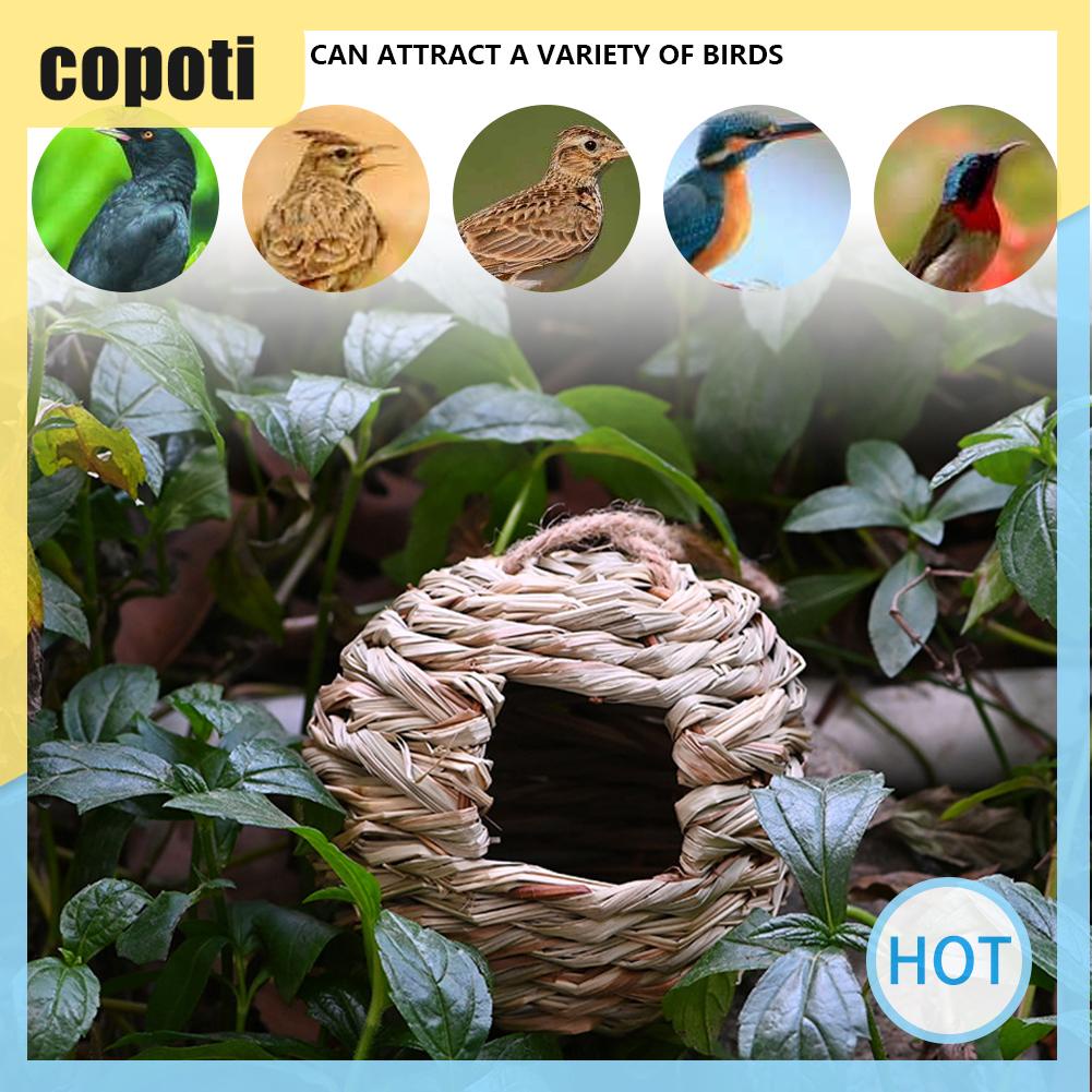 copoti-บ้านรังผึ้ง-หญ้าธรรมชาติ-แบบแขวน-สําหรับบ้าน-ระเบียงบ้าน