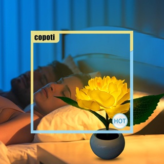 Copoti โคมไฟ LED รูปดอกโบตั๋น ของขวัญคริสต์มาส สําหรับตกแต่งบ้าน