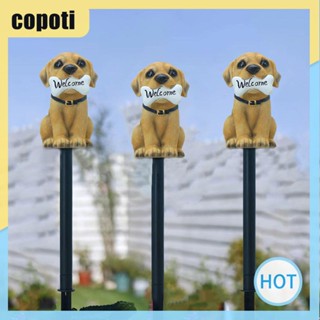 Copoti โคมไฟ LED พลังงานแสงอาทิตย์ กันน้ํา 1 ถึง 3 สําหรับบ้าน สวน กลางแจ้ง