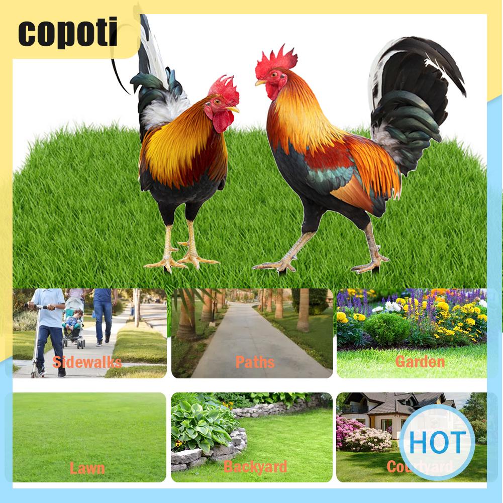 copoti-รูปปั้นไก่อะคริลิค-สําหรับตกแต่งบ้าน-สวน-ทางเดิน-ทางเดิน-2-ชิ้น