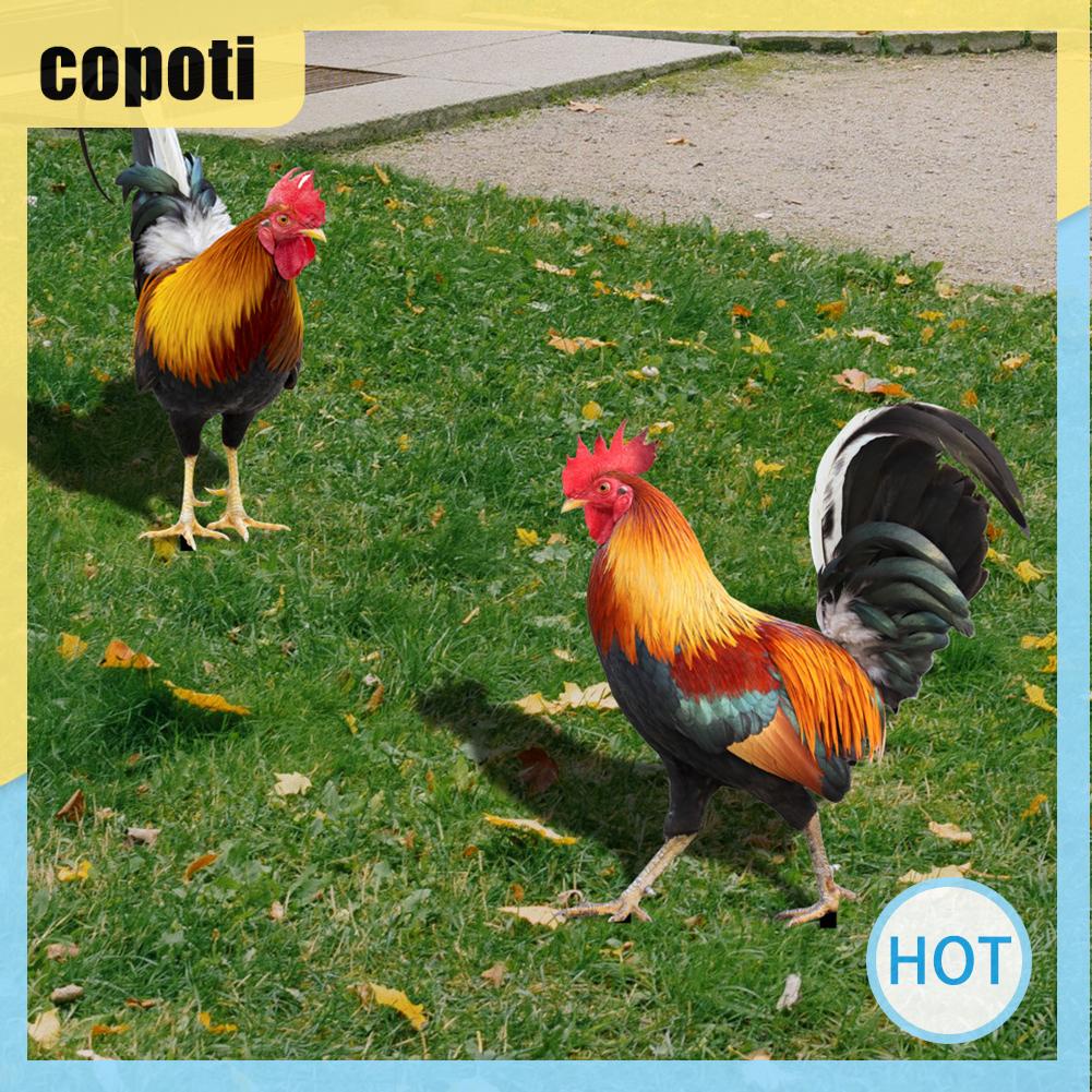 copoti-รูปปั้นไก่อะคริลิค-สําหรับตกแต่งบ้าน-สวน-ทางเดิน-ทางเดิน-2-ชิ้น