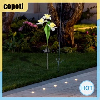Copoti โคมไฟตั้งพื้น พลังงานแสงอาทิตย์ ลายดอกไม้ 2 ดอก สําหรับตกแต่งบ้าน สวน