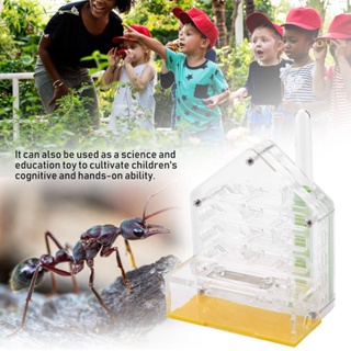 PP อะคริลิก Ant Nest Villa Farm House Formicarium สำหรับให้อาหารมด