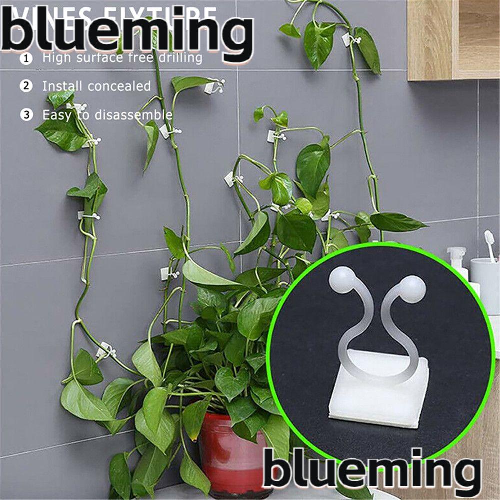 blueming2-คลิปตะขอแขวนต้นไม้-เถาวัลย์-แบบติดผนัง-10-ชิ้น