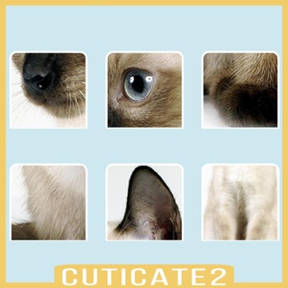 [Cuticate2] ถุงมือทําความสะอาด แบบใช้แล้วทิ้ง สําหรับสัตว์เลี้ยง สุนัข 6 ชิ้น
